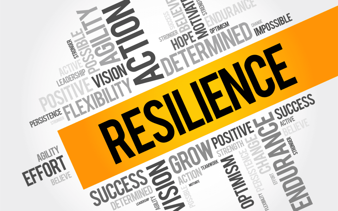 Our resilience to rising rates